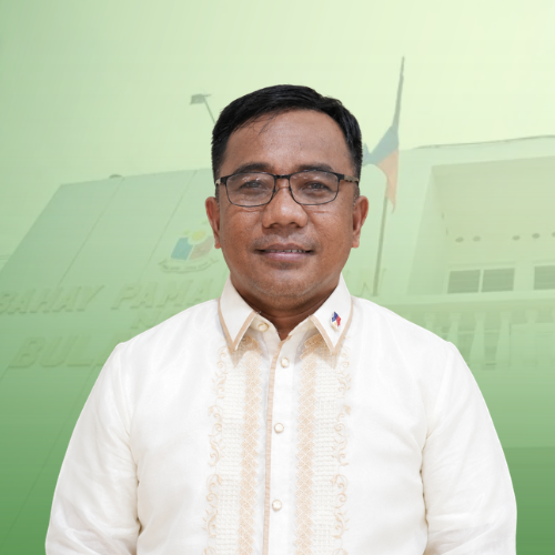 HON. JOEJIE R. NARCISO